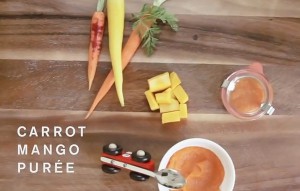 Carrot and Mango baby food