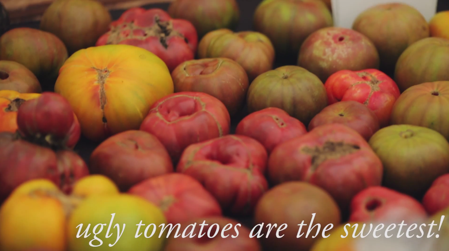 It’s the Inside that Counts – Ugly Tomatoes