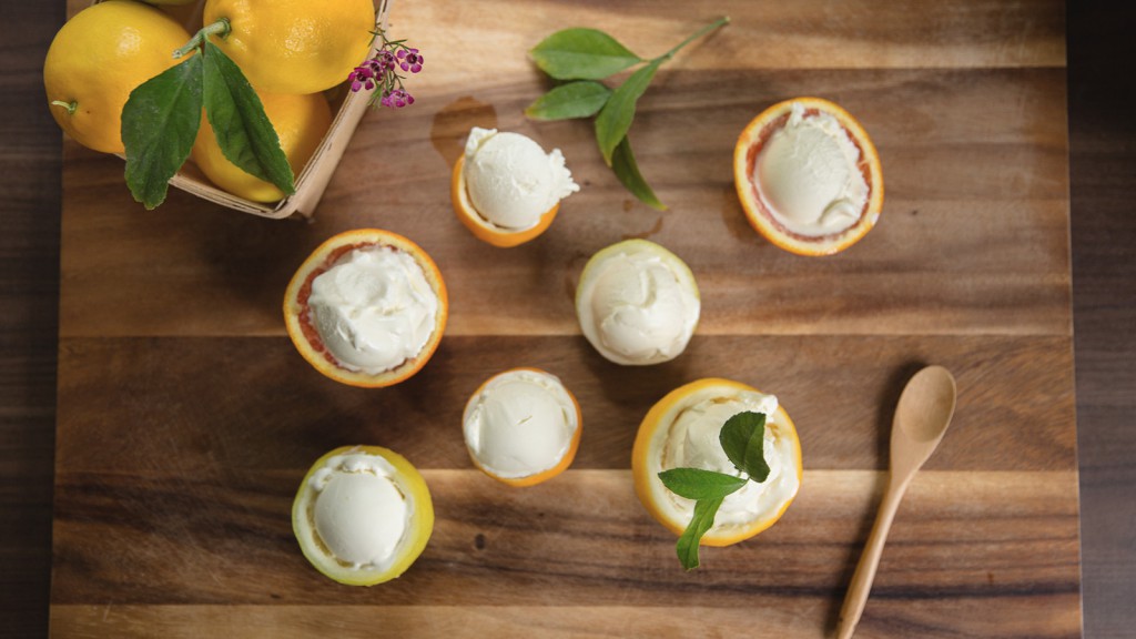 Creamy Lemon Gelato with a hint of Vanilla