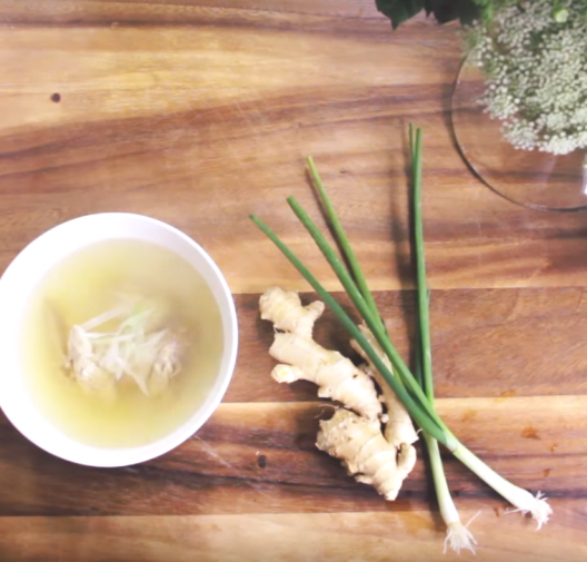 Baby Food | chicken & bone broth with ginger