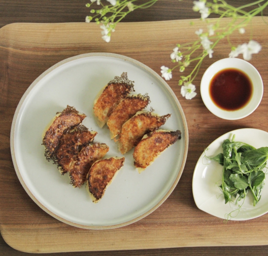 CLASSIC CHINESE Pork and Cabbage Dumplings