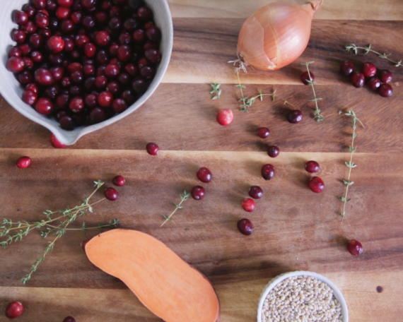 Baby food |Turkey, Sweet Potatoes, & Barley